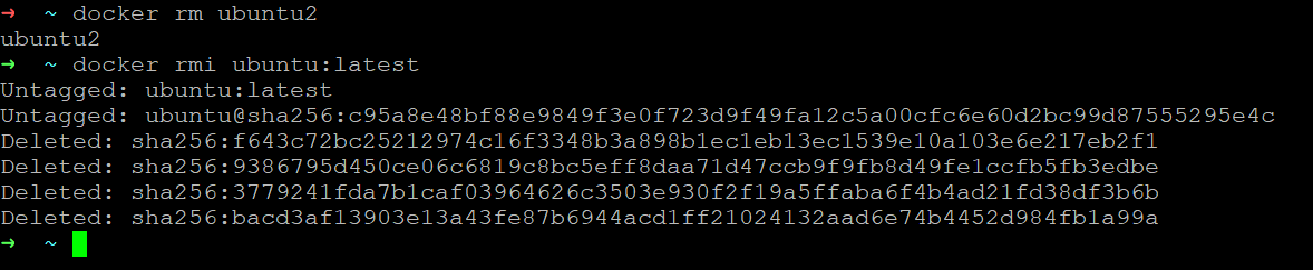 image-20210309151308966