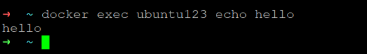 image-20210309202956904